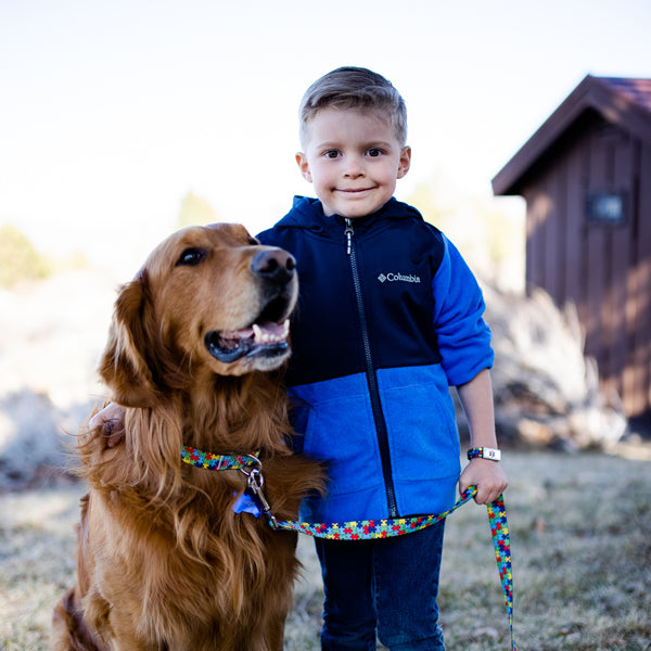 Autism Awareness Dog Collar and Leash