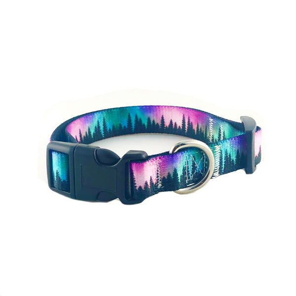 Northern Lights Dog Collar and Leash Set